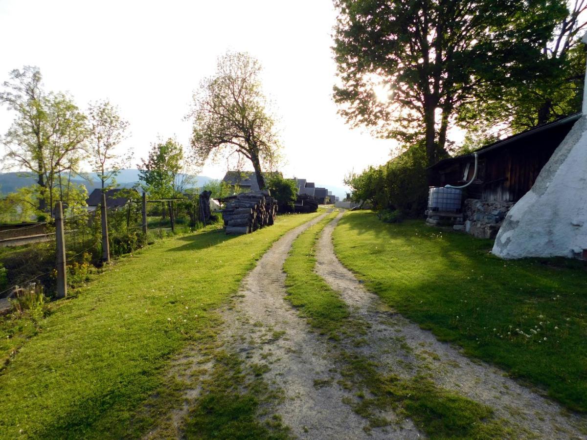 Apartmány Horní Planá Esterno foto